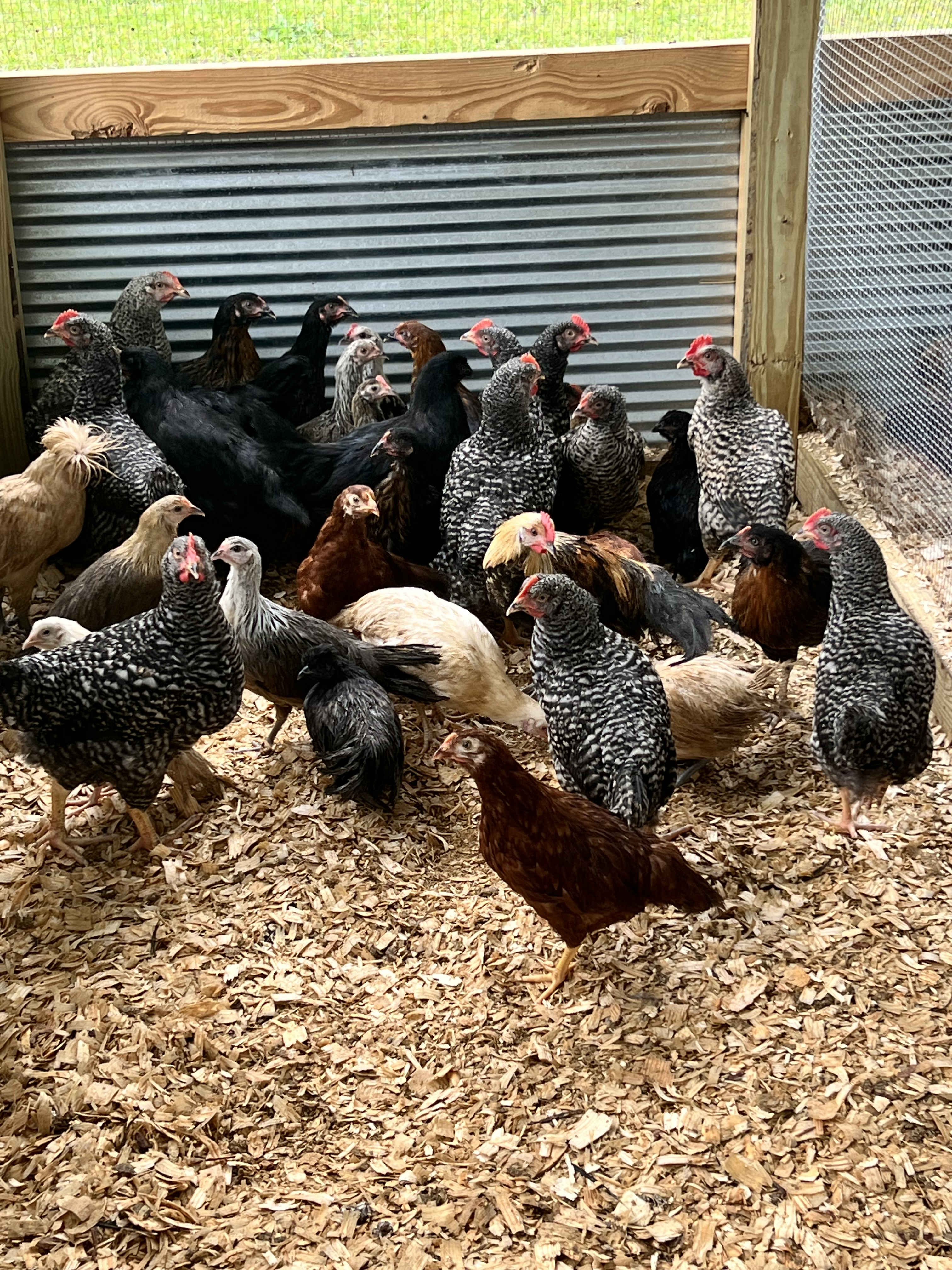 Farm environment