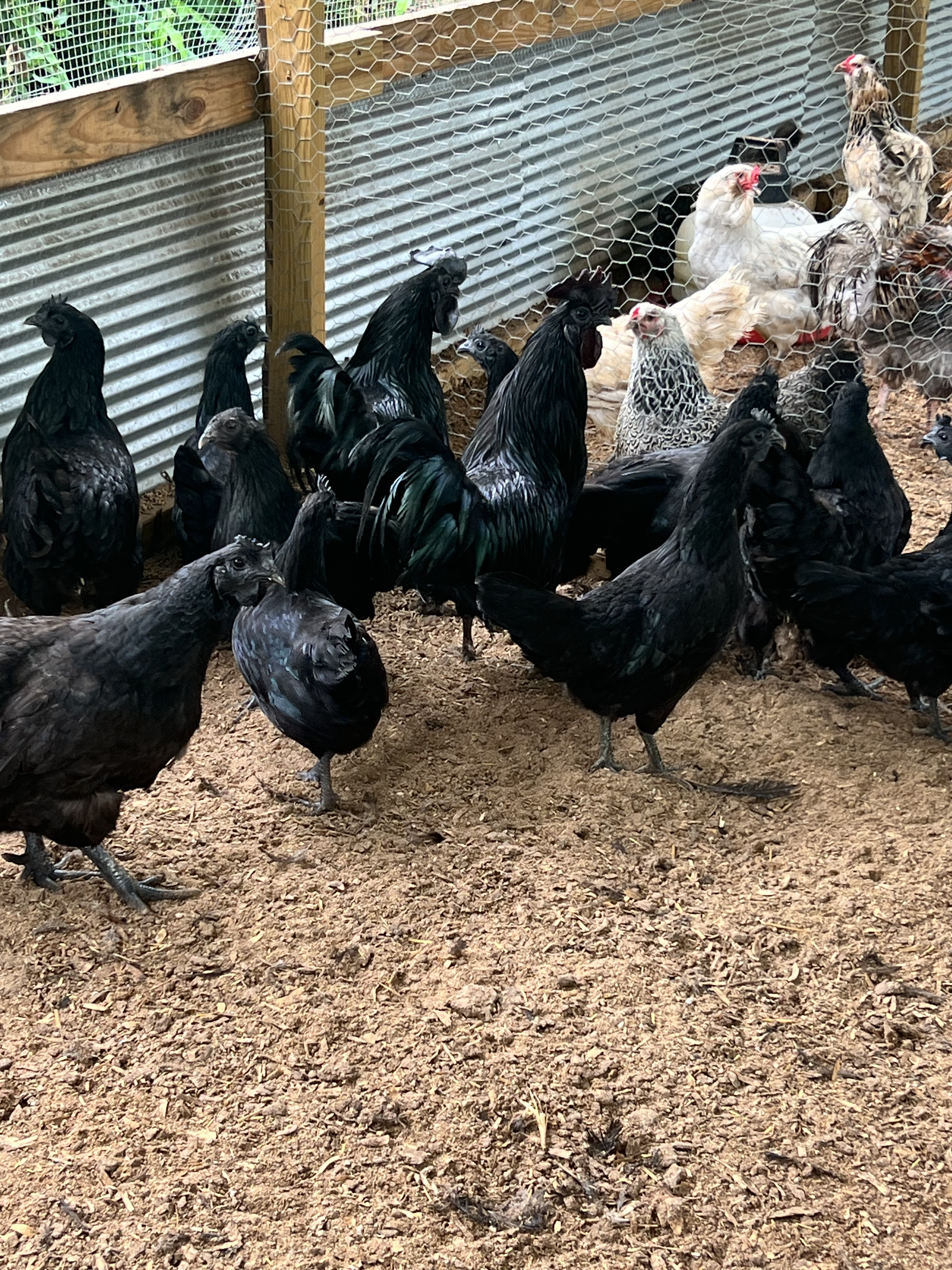 Farm operations